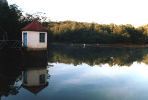 Hammock Cottages in Kodaikanal