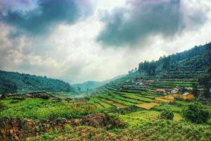 Hammock Cottages in Kodaikanal