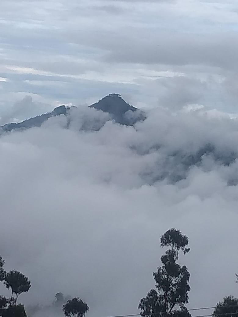 Cottages in Kodaikanal