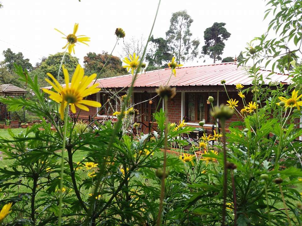 Cottages in Kodaikanal